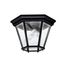 Madison 2 Light Flush Mount (Black)