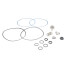 Seal Kit for CR4, CRN4