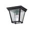 7.25" 1 Light Flush Mount (Black)