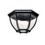 Barrie 2 Light Flush Mount (Black)