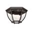 Barrie 2 Light Flush Mount (Tannery Bronze)