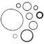 O-Ring Kit, 99016019