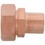 1 1/8" Rotolock Adapter