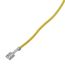 Ignition Wire Sensor, 99WZ2572XC206518