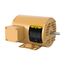 1/3 HP 230/460v General Purpose Motor, 1725 RPM, 48FR, 3 PH, 3416M, OPEN, F1
