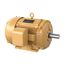 40 HP, 230/460v, 1775, 324t, TEFC, EM4110T
