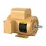 115/230v 3/4 HP 1750 RPM Motor, EL11307