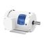 2 HP 1755 RPM 3ph 145t TEFC Motor, EWDM3558T