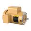 1-1/2 Hp 115/230v 1725 Rpm Motor, VEL11319