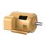 Motor OPSB 15 HP 208-230/460-3, EM2524T