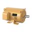 Bmotor Opsb 75 Hp 230/460-3, EM2551T-G