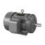 25 Hp, Tefc, 1780Rpm, 3 PH , 60Hz, F1 Motor, EHM4103T