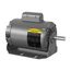 115/230 V 1 PH 3/4 HP 1725 RPM Motor, RL1324A