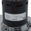 1-Speed 3250 RPM 1/20 HP Amana Draft Inducer Motor (115V)