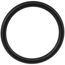Stainless Steel Manifold Isolation Valve Body, O-Ring