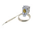 Ice Machine Control w/ 60" Capillary (27-49F)
