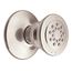 Body Spray, 1.75 GPM, A501NL (Polished Nickel)