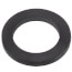1" Union Replacement Gasket