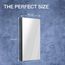 Maxstow 20" W x 40" H Single-Door Medicine Cabinet with Mirrored Door