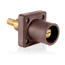 1 Pole Cam-Type Male Panel Receptacle, Taper Nose, 3/4" Extended Shoulder, #2-4/0 (Brown)
