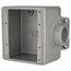 1" Deep 2 Gang Cast Device Box, Gray Iron Zinc Plated, Dead End, FD32-TB