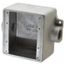 3/4" Deep 2 Gang Cast Device Box, Gray Iron Zinc Plated, Thru-Feed, FDC222-TB