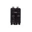 Q-Line THQB Series 2 Pole Bolt-On Circuit Breaker (120/240V, 15A)