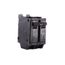 Q-Line THQB Series 2 Pole Bolt-On Circuit Breaker (120/240V, 25A)