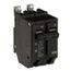 Q-Line THQB Series 2 Pole Bolt-On Circuit Breaker (120/240V, 45A)