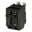 Q-Line THQB Series 2 Pole Bolt-On Circuit Breaker (120/240V, 45A)