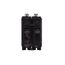 Q-Line THQB Series 2 Pole Bolt-On Circuit Breaker (120/240V, 50A)