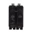 Q-Line THQB Series 2 Pole Bolt-On Circuit Breaker (120/240V, 60A)