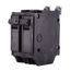 Q-Line THQB Series 2 Pole Bolt-On Circuit Breaker (120/240V, 60A)