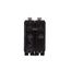 Q-Line THQB Series 2 Pole Bolt-On Circuit Breaker (120/240V, 80A)