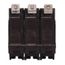 Q-Line THQB Series 3 Pole Bolt-On Circuit Breaker (120/240V, 60A)
