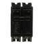 Q-Line THQL Series 2 Pole Plug-In Circuit Breaker (120/240V, 100A)