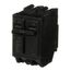 Q-Line THQL Series 2 Pole Plug-In Circuit Breaker (120/240V, 100A)