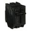 Q-Line THQL Series 2 Pole Plug-In Circuit Breaker (120/240V, 100A)