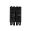 Q-Line THQL Series 2 Pole Plug-In Circuit Breaker (120/240V, 125A)