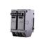 Q-Line THQL Series 2 Pole Plug-In Circuit Breaker (120/240V, 125A)