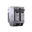Q-Line THQL Series 2 Pole Plug-In Circuit Breaker (120/240V, 125A)