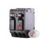 Q-Line THQL Series GFCI 2 Pole Plug-In Circuit Breaker (120/240V, 15A)