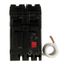 Q-Line THQL Series GFCI 2 Pole Plug-In Circuit Breaker (120/240V, 20A)