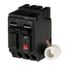 Q-Line THQL Series GFCI 2 Pole Plug-In Circuit Breaker (120/240V, 20A)