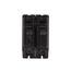 Q-Line THQL Series 2 Pole Plug-In Circuit Breaker (120/240V, 25A)