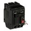 Q-Line THQL Series GFCI 2 Pole Plug-In Circuit Breaker (120/240V, 30A)