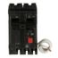 Q-Line THQL Series GFCI 2 Pole Plug-In Circuit Breaker (120/240V, 30A)