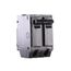 Q-Line THQL Series 2 Pole Plug-In Circuit Breaker (120/240V, 35A)