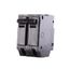 Q-Line THQL Series 2 Pole Plug-In Circuit Breaker (120/240V, 35A)