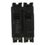 Q-Line THQL Series 2 Pole Plug-In Circuit Breaker (120/240V, 70A)